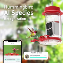 Load image into Gallery viewer, Bird Watching Camera Feeder with AI Species ID, Solar Power &amp; Easy Clean Design