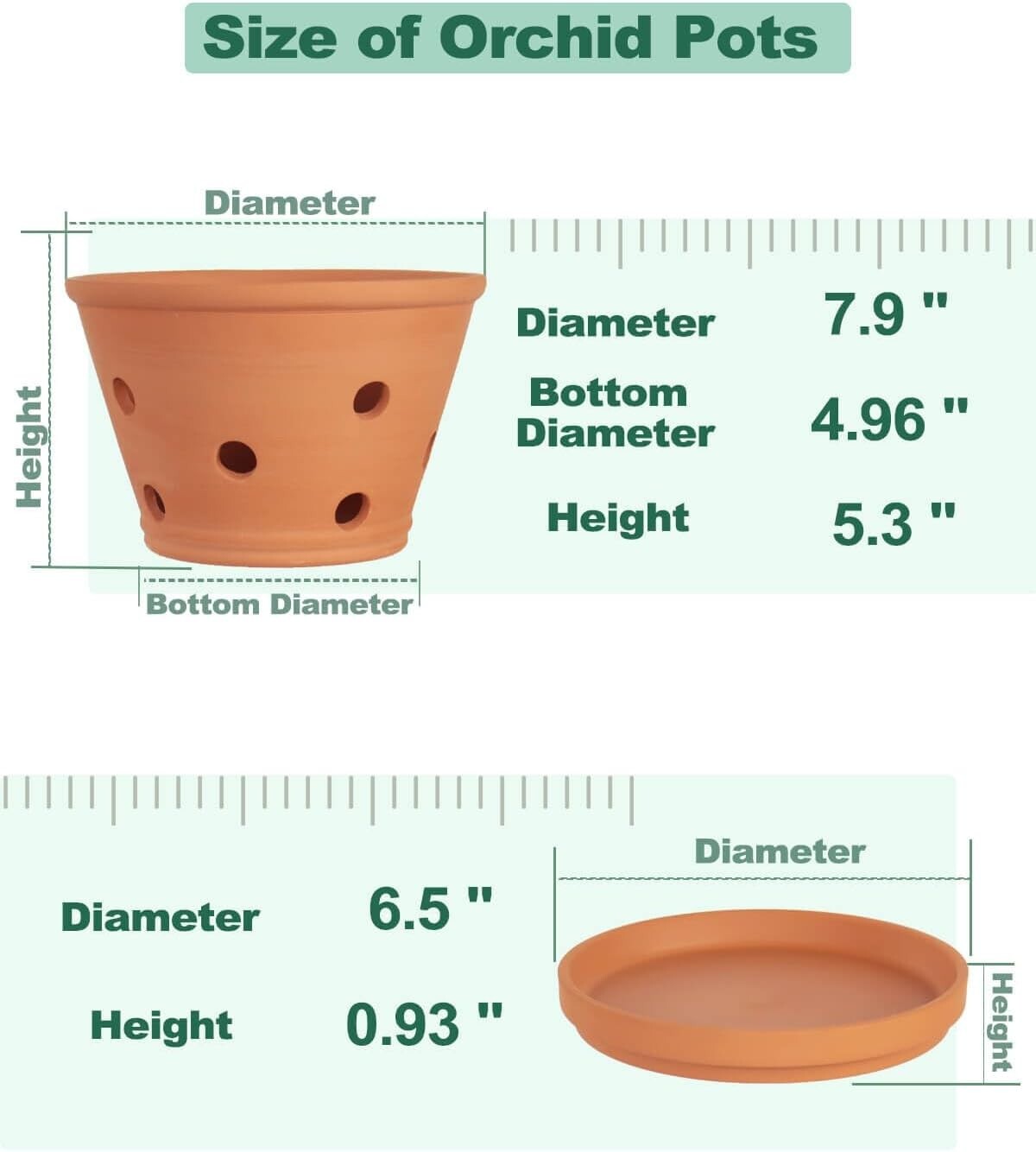 Classic 8-Inch Terracotta Plant Pots with Breathing Holes – Perfect for Orchids