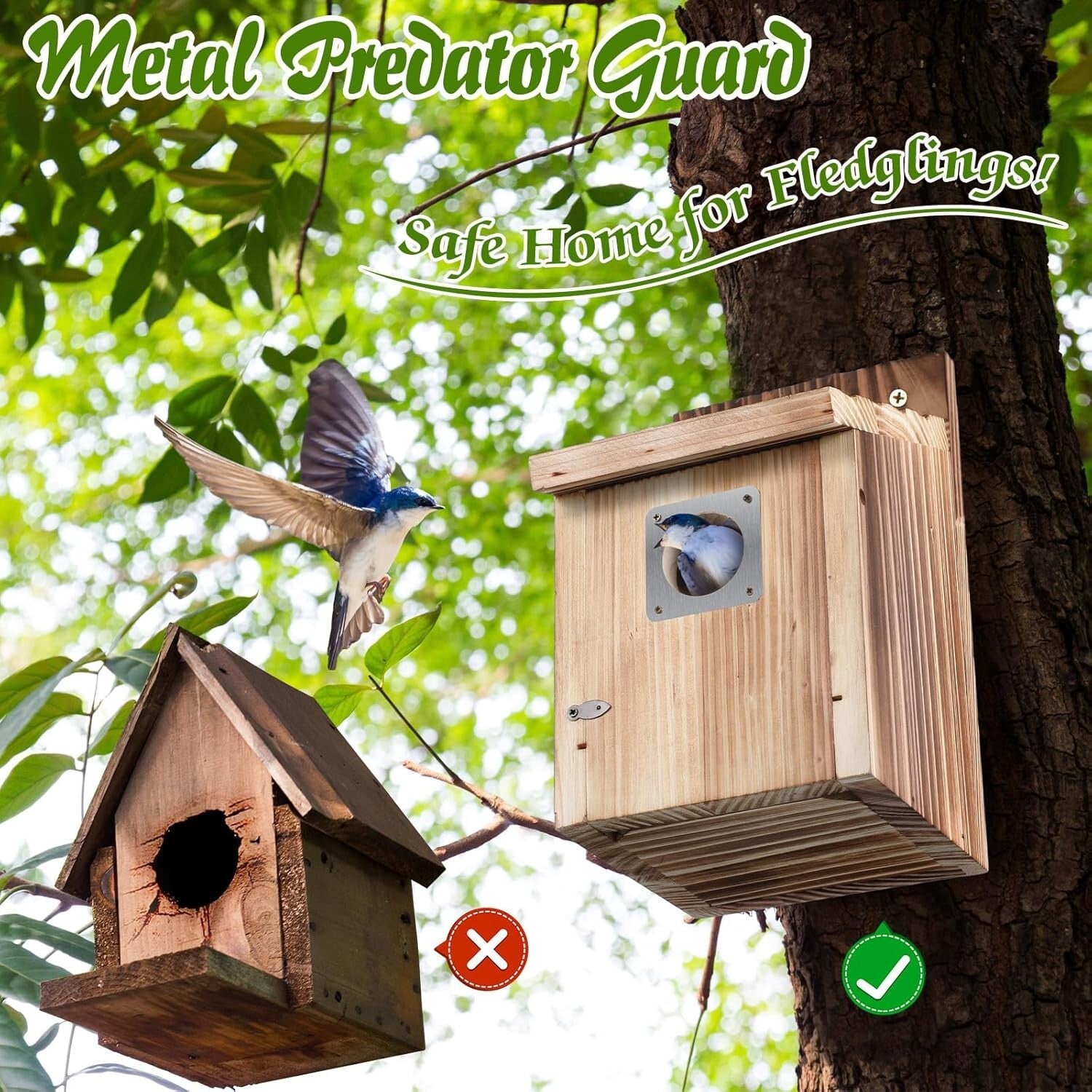 Attractive Cedar Bird Houses with Secure Latch and Easy Access for Fledglings