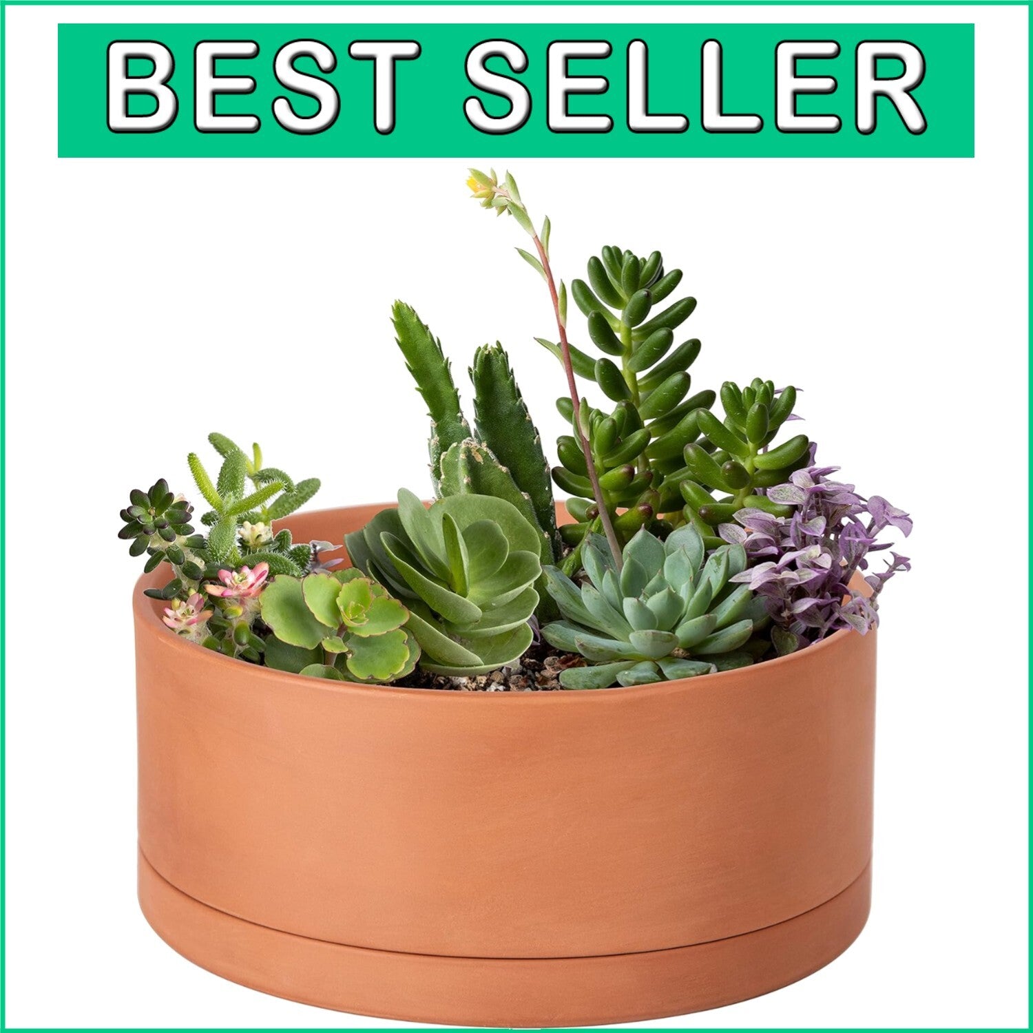 10-Inch Round Succulent Terracotta Pot with Drainage & Saucer – Elegant Choice