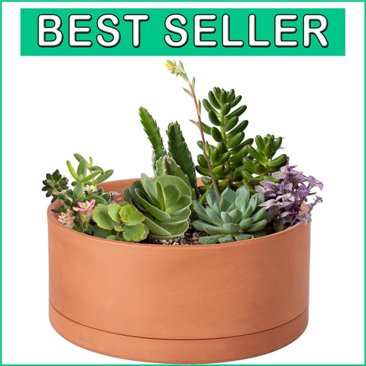 10-Inch Round Succulent Terracotta Pot with Drainage & Saucer – Elegant Choice