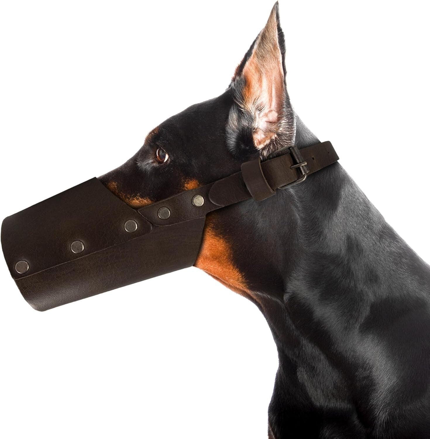 Lightweight Leather Dog Muzzle Guard – Handmade for Pitbulls & German Shepherds