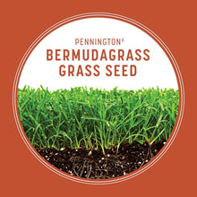 Load image into Gallery viewer, Premium 15 lb Bermudagrass Grass Seed with Penkoted Technology - Thrives in Sun