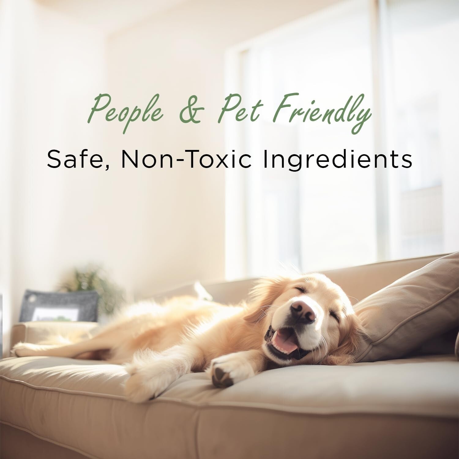 Bamboo Charcoal Stand-Up Air Purifying Bags - Effective Room Deodorizer 3 Pack