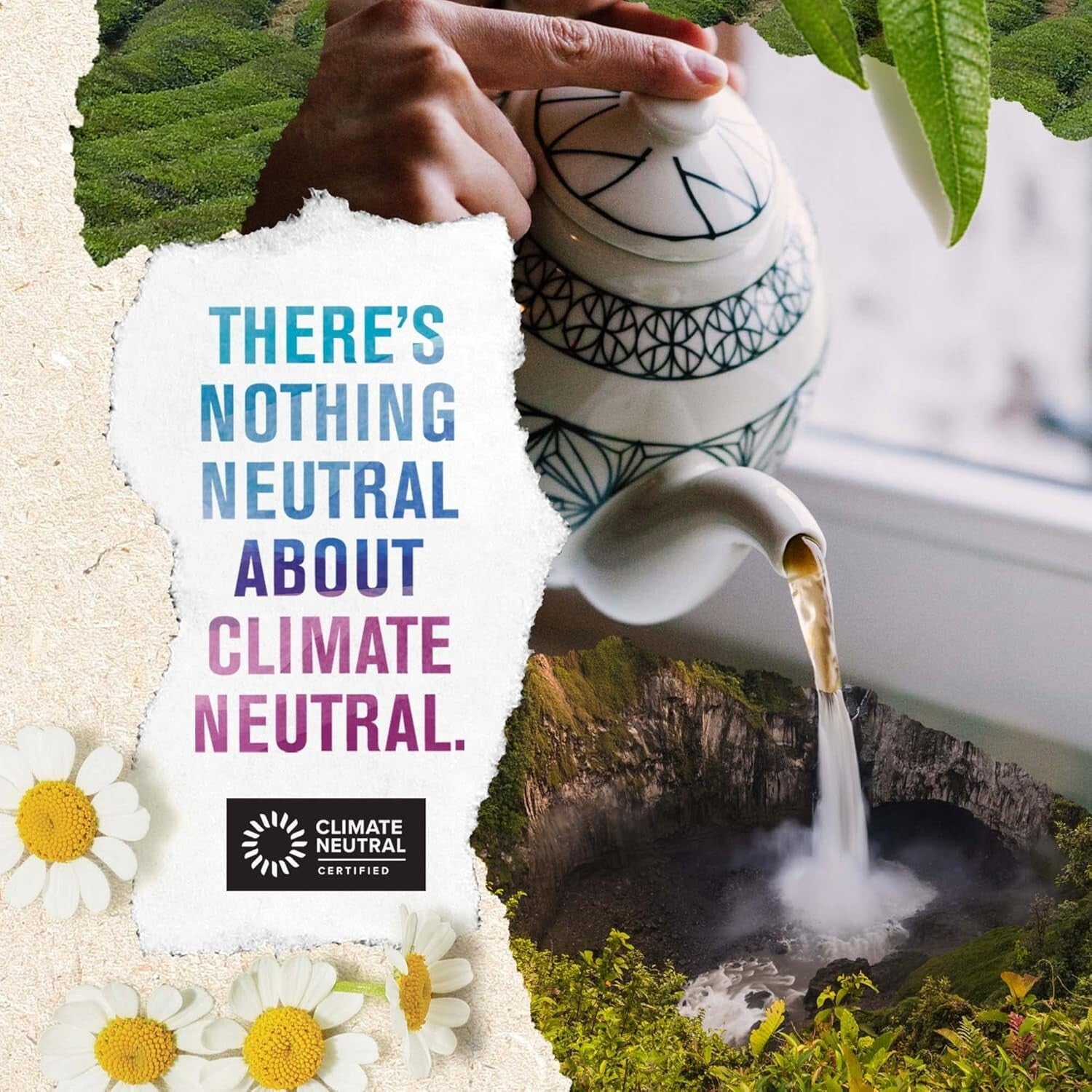 Rediscover Flavor with Organic 16 Ounce Ti Kuan Yin Oolong Loose Leaf Tea