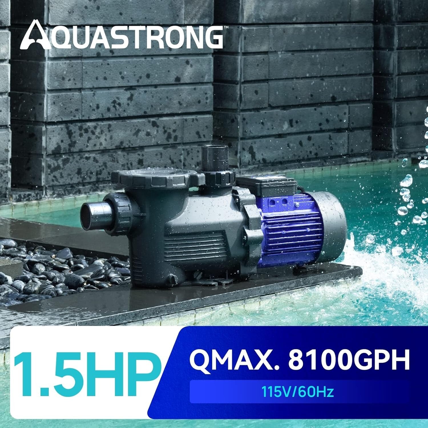1.5HP Single Speed Pool Pump with 8100 GPH Flow Rate, 115V - Versatile Fit