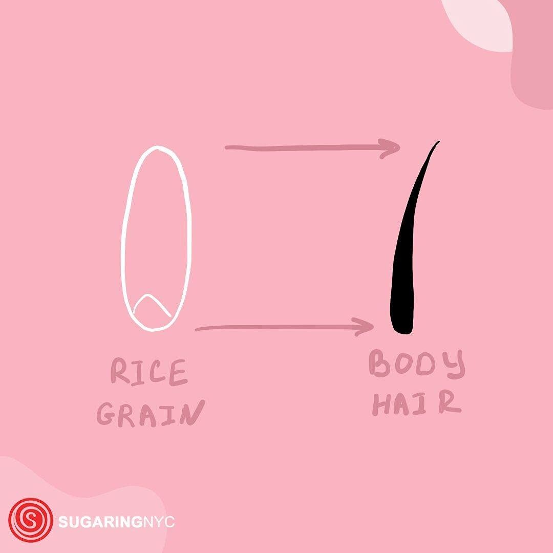 1.3kg Organic Sugaring Paste for Bikini, Underarms & Upper Lip Hair Removal