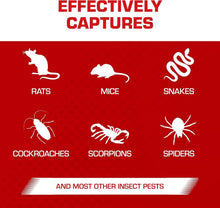 Load image into Gallery viewer, Pesticide-Free Glue Traps with Eugenol - 12-Pack for Effective Pest Control