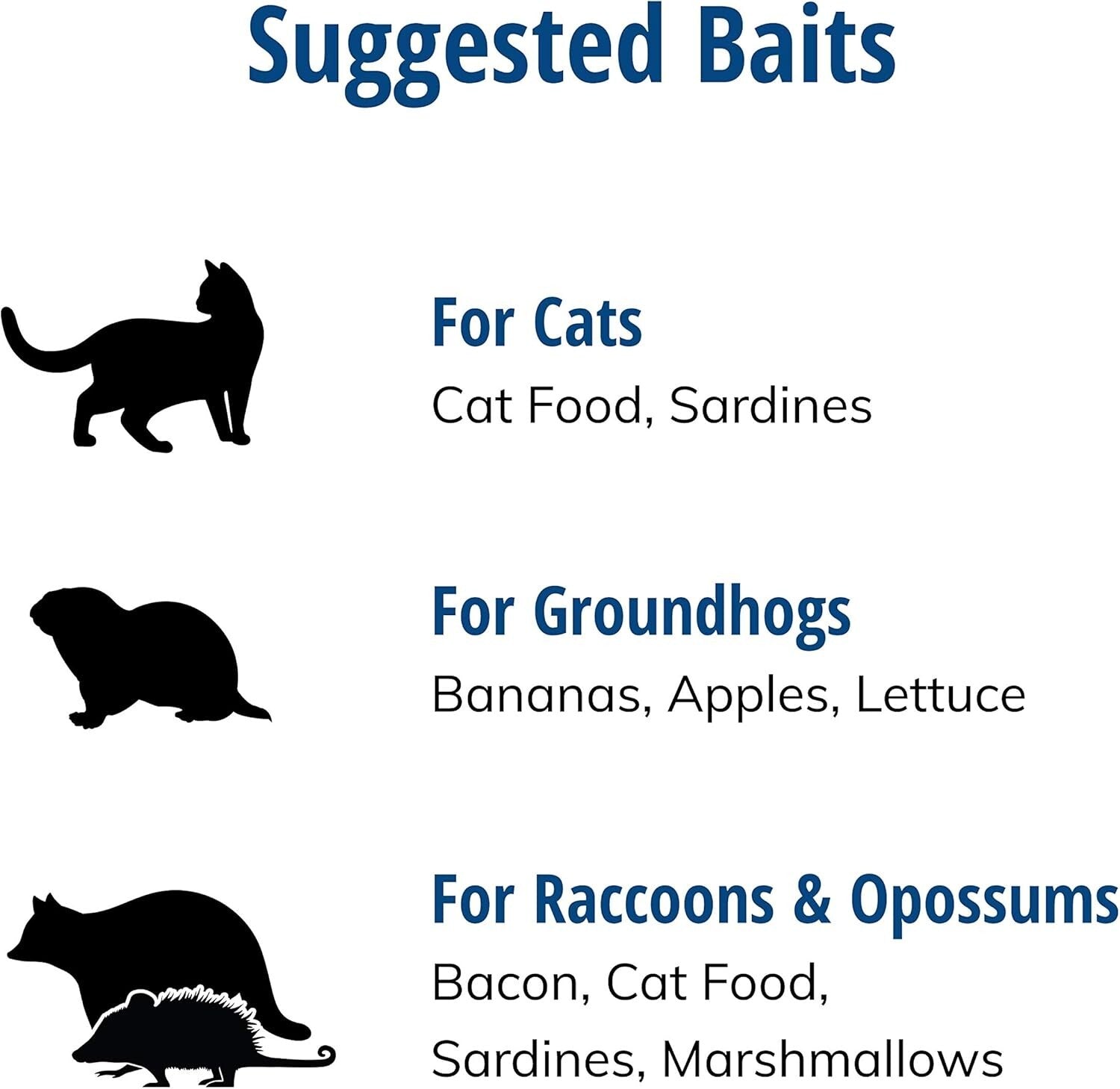 Professional Quality 1-Door Humane Animal Trap - Safe for Cats, Raccoons & More