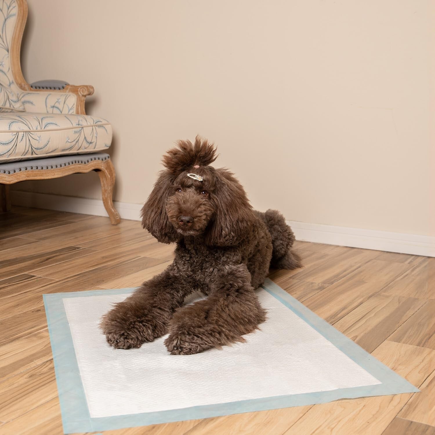 50x X-Large Blue Puppy Training Pads with Quilted Leak-Proof Design - 100 Count