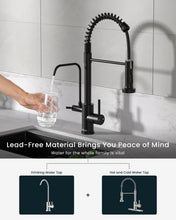 Load image into Gallery viewer, Stylish Matte Black 3 in 1 Pull Down Kitchen Faucet with Drinking Water Access