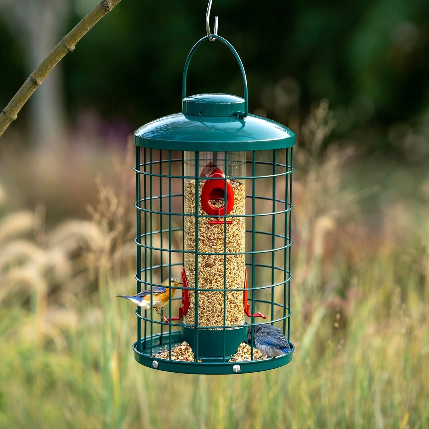 Large Capacity Squirrel-Proof Bird Feeder with Detachable Assembly & Dome Lid