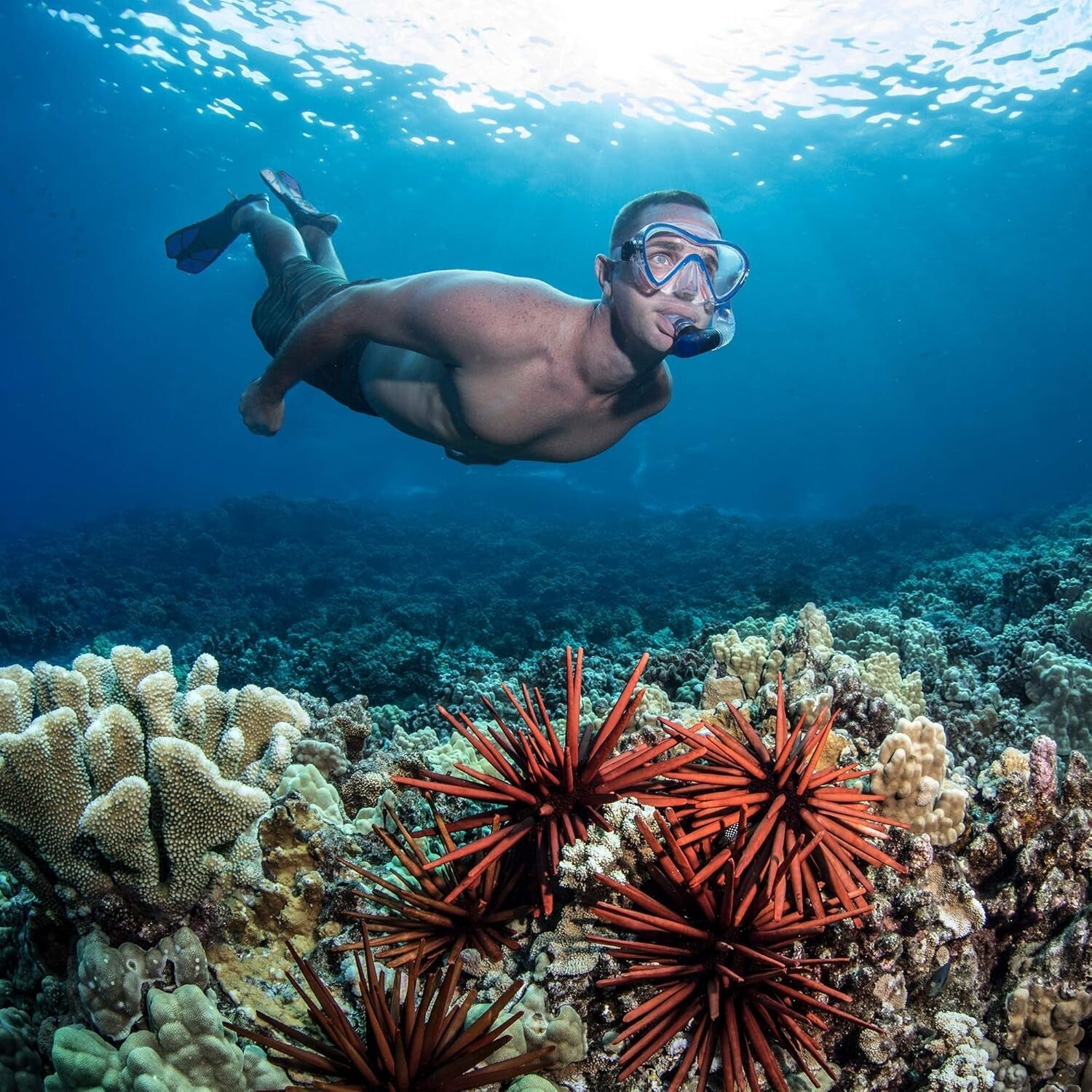 Clear Blue Snorkeling Equipment Set with Easy Dry Snorkel and Split Strap Mask