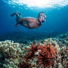 Load image into Gallery viewer, Clear Blue Snorkeling Equipment Set with Easy Dry Snorkel and Split Strap Mask