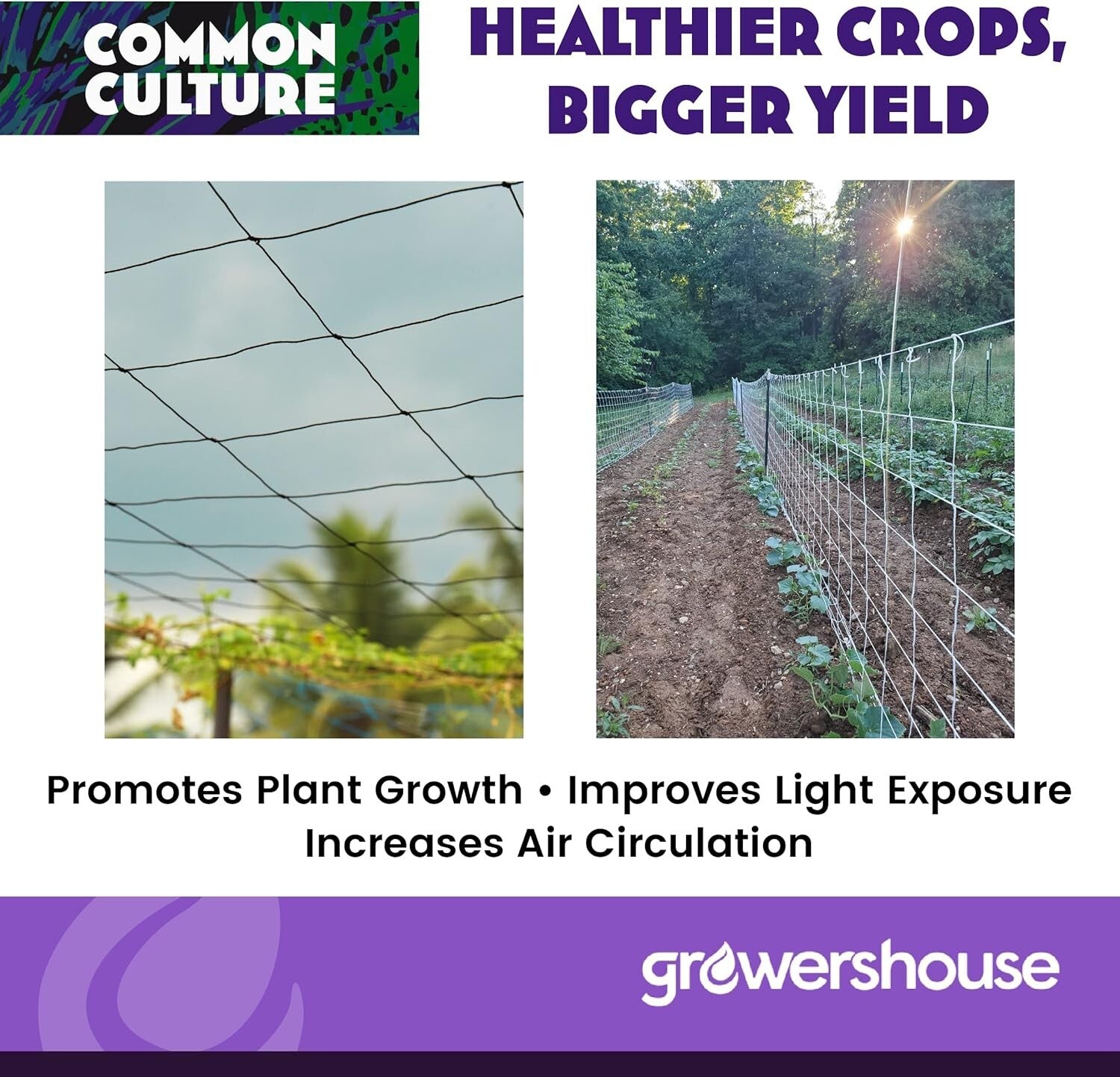 Economical Trellis Netting Roll, 6" Mesh - 6.5ft x 4920ft for Efficient Growth