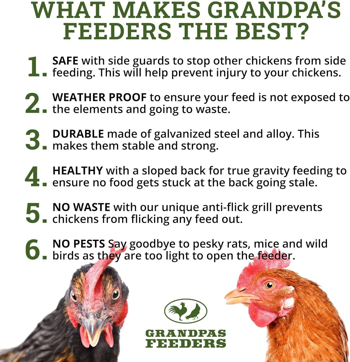 Galvanized Steel Automatic Feeder - Reliable 10-Day Supply for Backyard Chickens