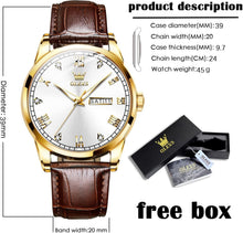 Load image into Gallery viewer, Elegant 39mm Brown Leather Dress Watch with Gold Case &amp; Waterproof Feature