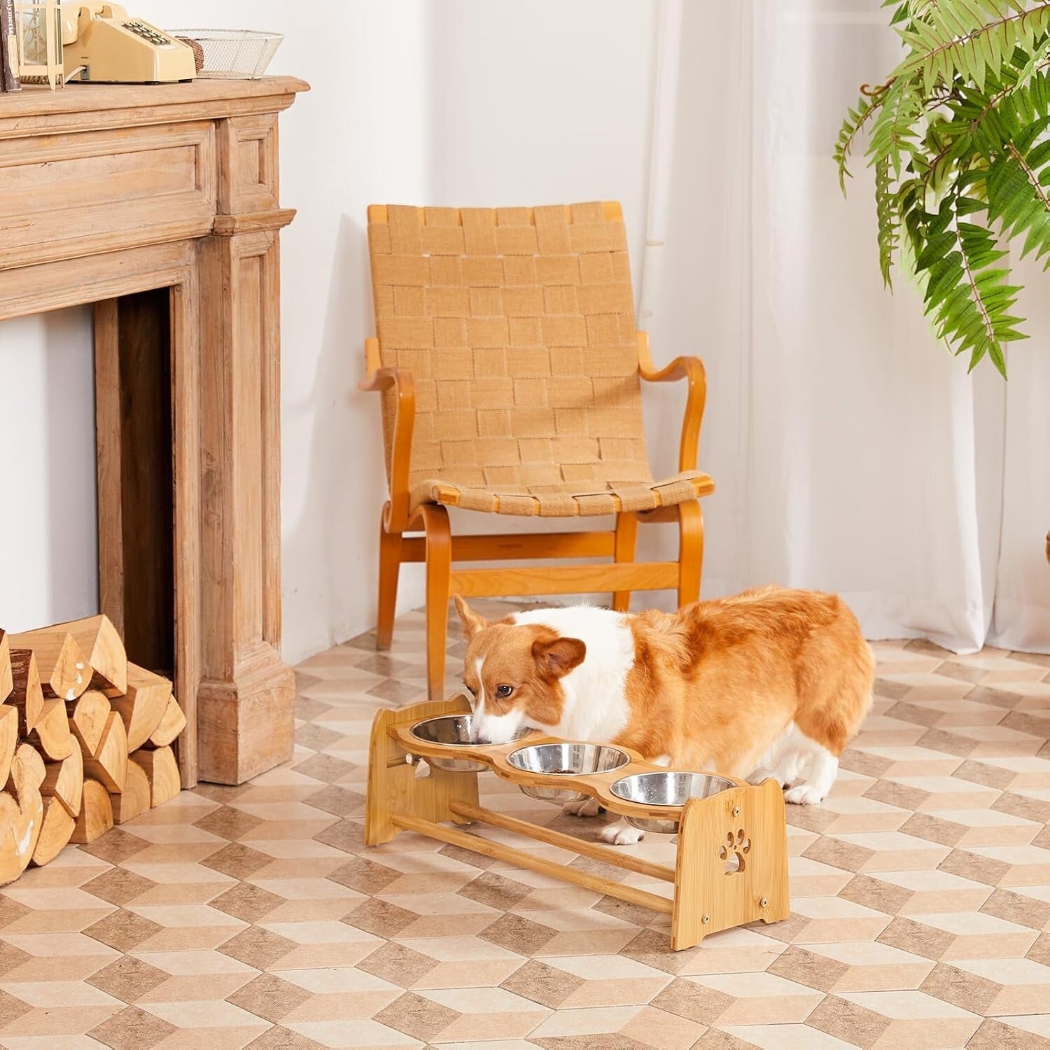 Stylish Elevated Dog Feeder with Anti-Slip Bamboo Base & Stainless Steel Bowls