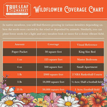 Load image into Gallery viewer, Stunning 1 lb Wildflower Seed Blend - Attract Bees &amp; Butterflies - Easy to Grow