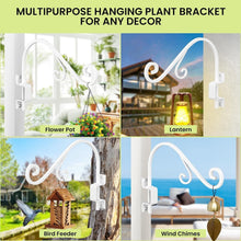Load image into Gallery viewer, Rust-Resistant 16-Inch Adjustable Wall Mount Plant Hangers for Stylish Spaces