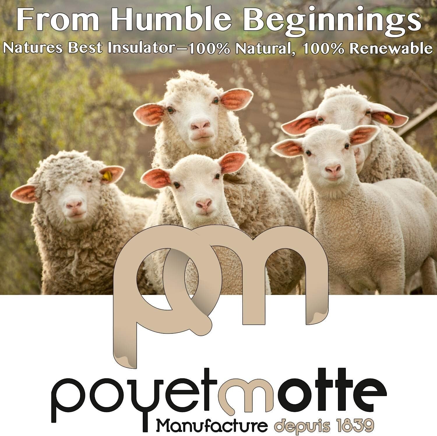 Luxury 100-Percent Wool Blanket 500GSM – Oversized Full/Queen, Reversible Design