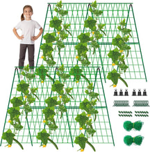 Load image into Gallery viewer, Sturdy 2 Pack A-Frame Trellis for Cucumbers &amp; Climbing Vegetables - 48" x 48"