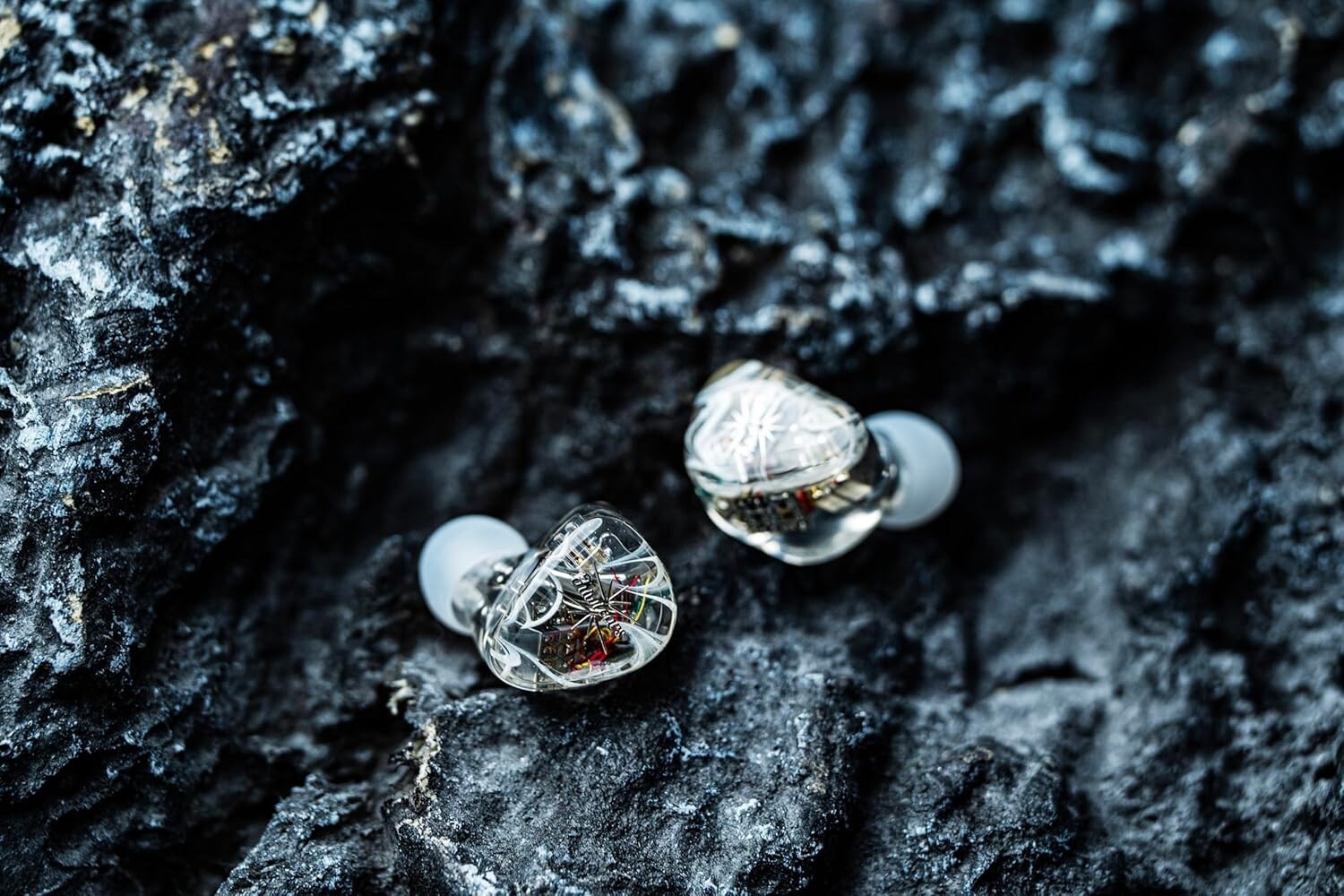 Performance 8 Balanced Armature In-Ear Monitors with Oxygen-Free Copper Cable