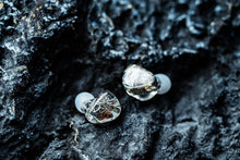 Load image into Gallery viewer, Performance 8 Balanced Armature In-Ear Monitors with Oxygen-Free Copper Cable