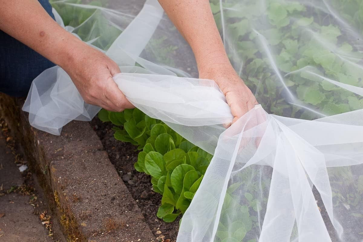 Breathable HDPE Bird Netting for Vegetables & Fruits 6.5'x50' - Flexible Design
