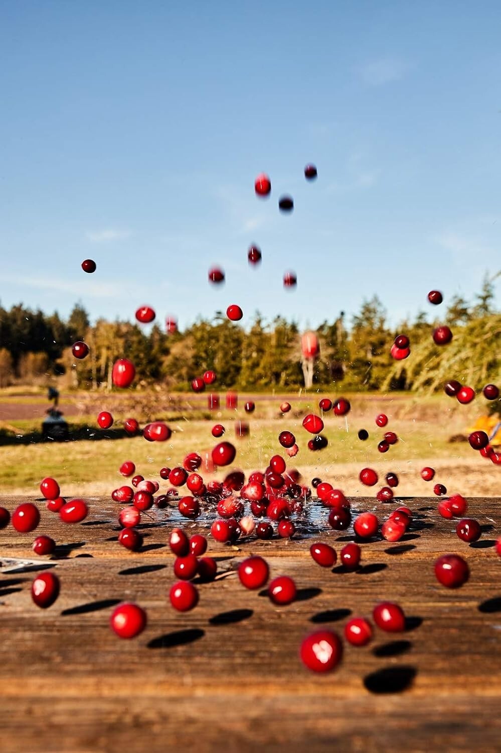 Cran50 Cranberry Juice Drink - 101.4 Fl Oz Pack of 6, 50 Calories per Serving