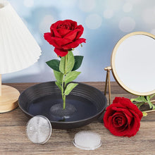 Load image into Gallery viewer, Lightweight Plastic Flower Frog Pins - 48 Pack for Beautiful Flower Displays