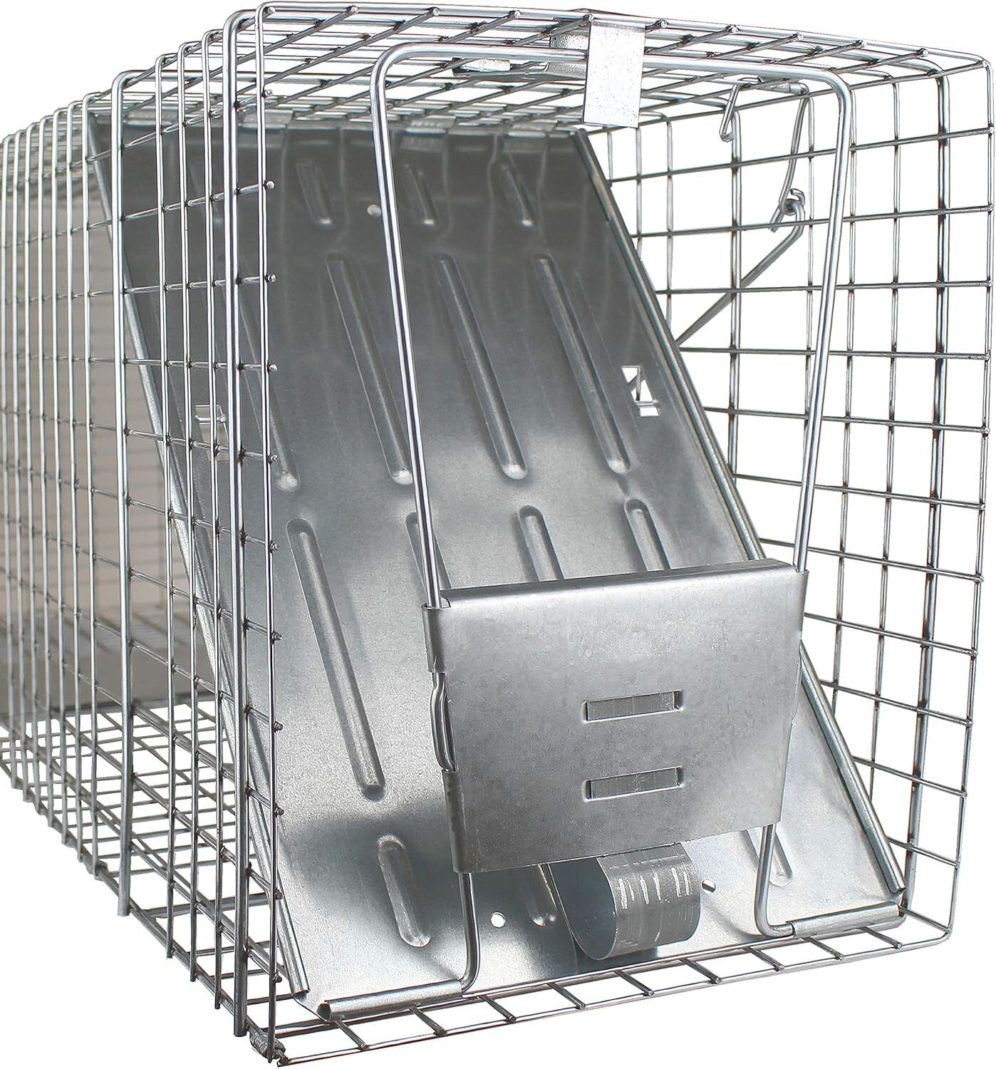 Professional Quality 1-Door Humane Animal Trap - Safe for Cats, Raccoons & More