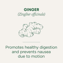 Load image into Gallery viewer, Organic Ginger Tea for Healthy Digestion - 96 Bags in 6 Eco-Friendly Packs