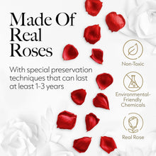 Load image into Gallery viewer, Eternal Love - 50 Preserved Roses in Beautiful Heart Box, No Maintenance