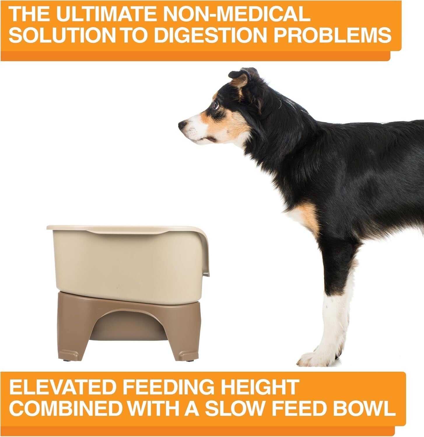Dishwasher Safe Elevated Dog Feeder with Slow Feed Bowl and Spill Proof Design