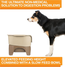 Load image into Gallery viewer, Dishwasher Safe Elevated Dog Feeder with Slow Feed Bowl and Spill Proof Design
