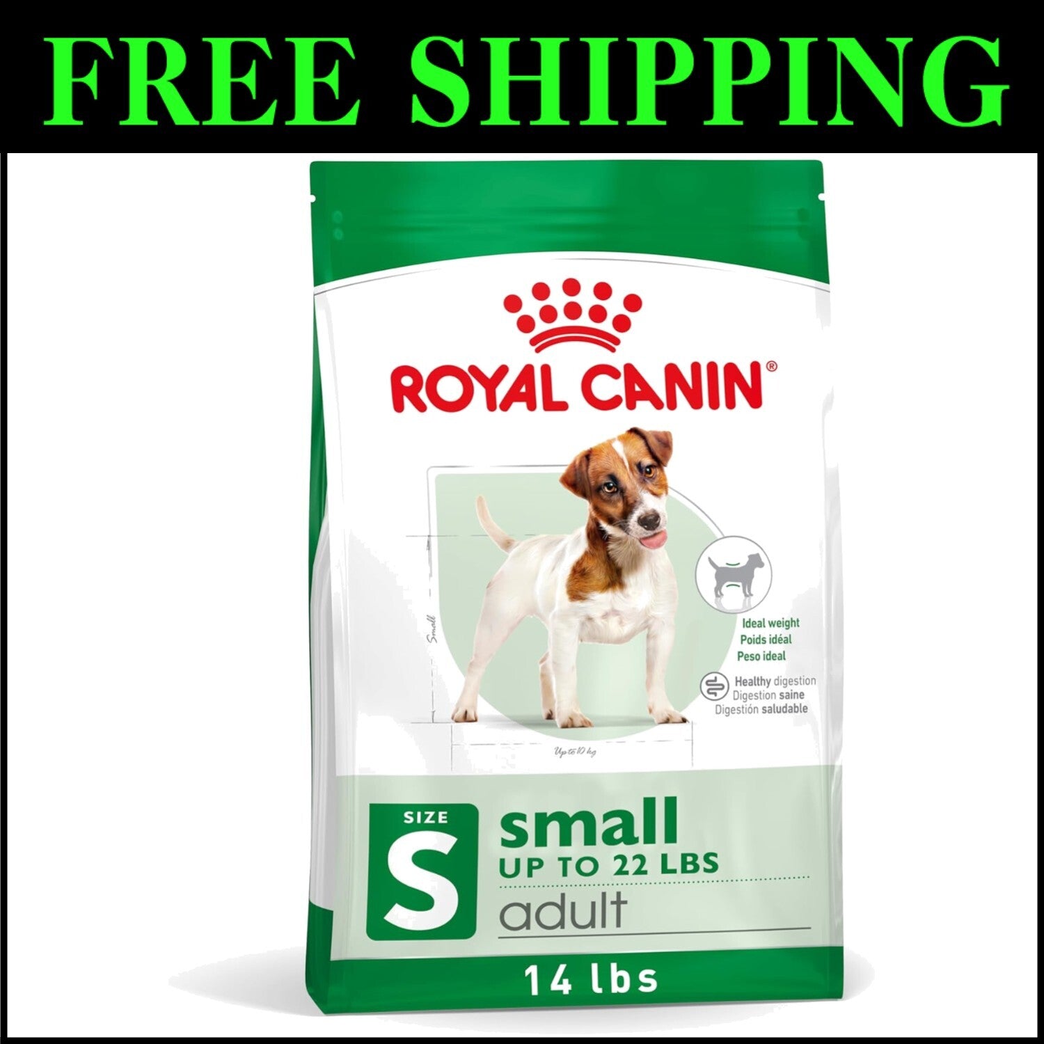 Royal Canin Small Adult Dry Dog Food, 14 lb – Supports Weight & Bone Health