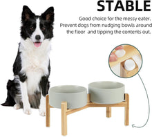 Load image into Gallery viewer, Modern Ceramic Double Dog Bowls with Stand - Healthy Design for Medium Breeds