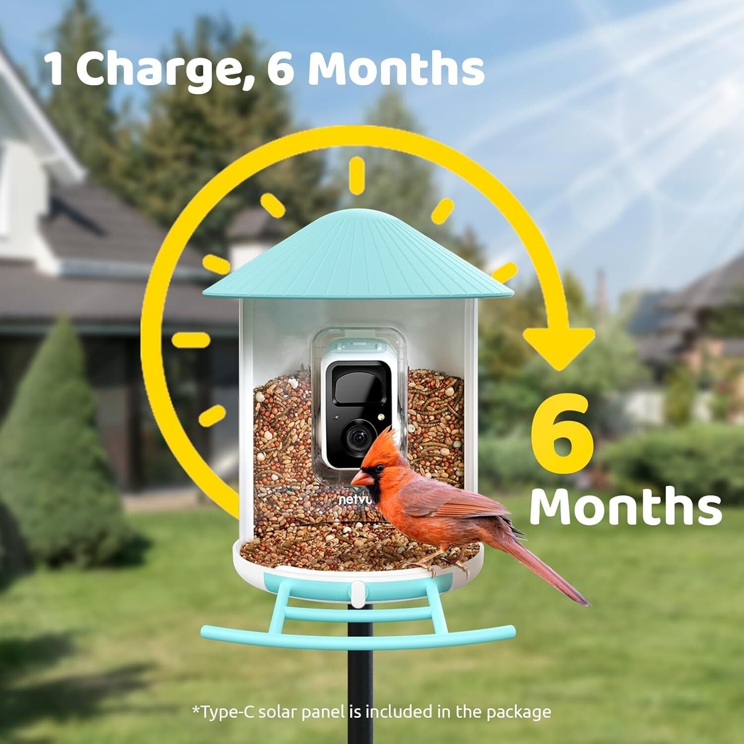 Wireless Smart Bird Feeder with 1.5L Capacity & Night Vision for Bird Lovers
