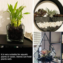 Load image into Gallery viewer, Commercial Grade Polished Black River Rocks for Plants &amp; Aquariums - 18lb