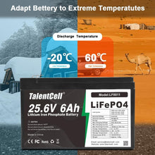Load image into Gallery viewer, Efficient 24V Lithium Iron Phosphate Battery Pack - Rechargeable and Compact