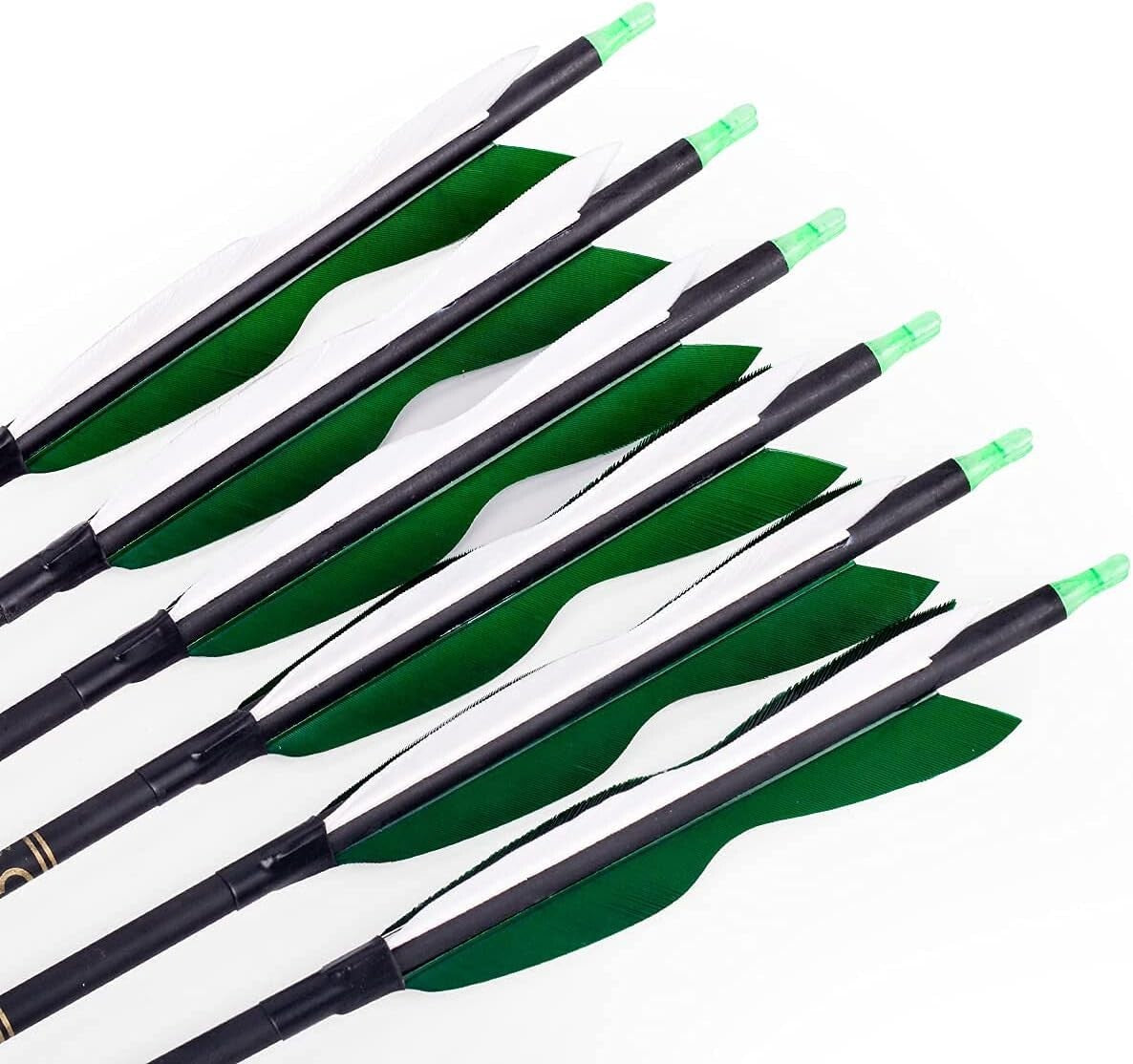 Archery Carbon Arrows 31.5" with Adjustable Nocks & Turkey Feathers - 12 Pack