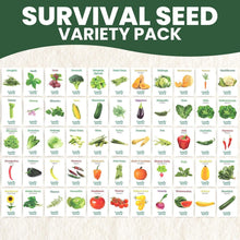 Load image into Gallery viewer, GMO-Free 55 Vegetable and Herb Seed Collection for Sustainable Gardening