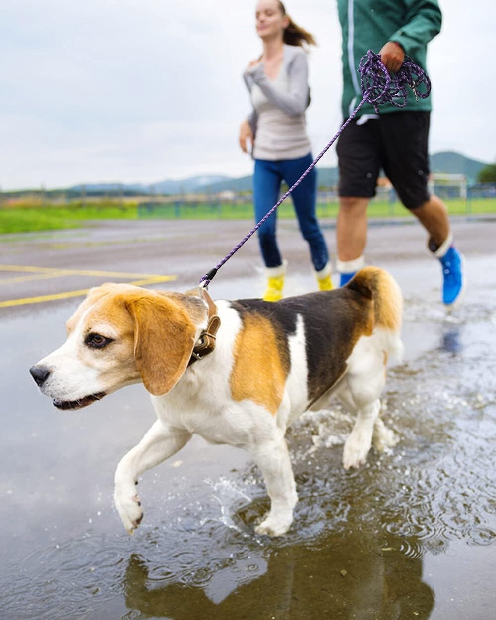 Premium 2 Pack Long Dog Leashes: 50FT with Reflective Thread for Added Safety