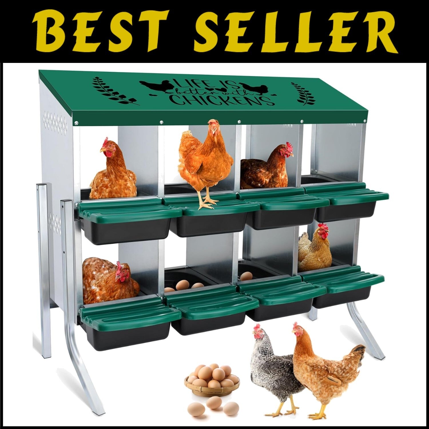 8-Hole Height-Adjustable Chicken Nesting Boxes with Automatic Egg Collection
