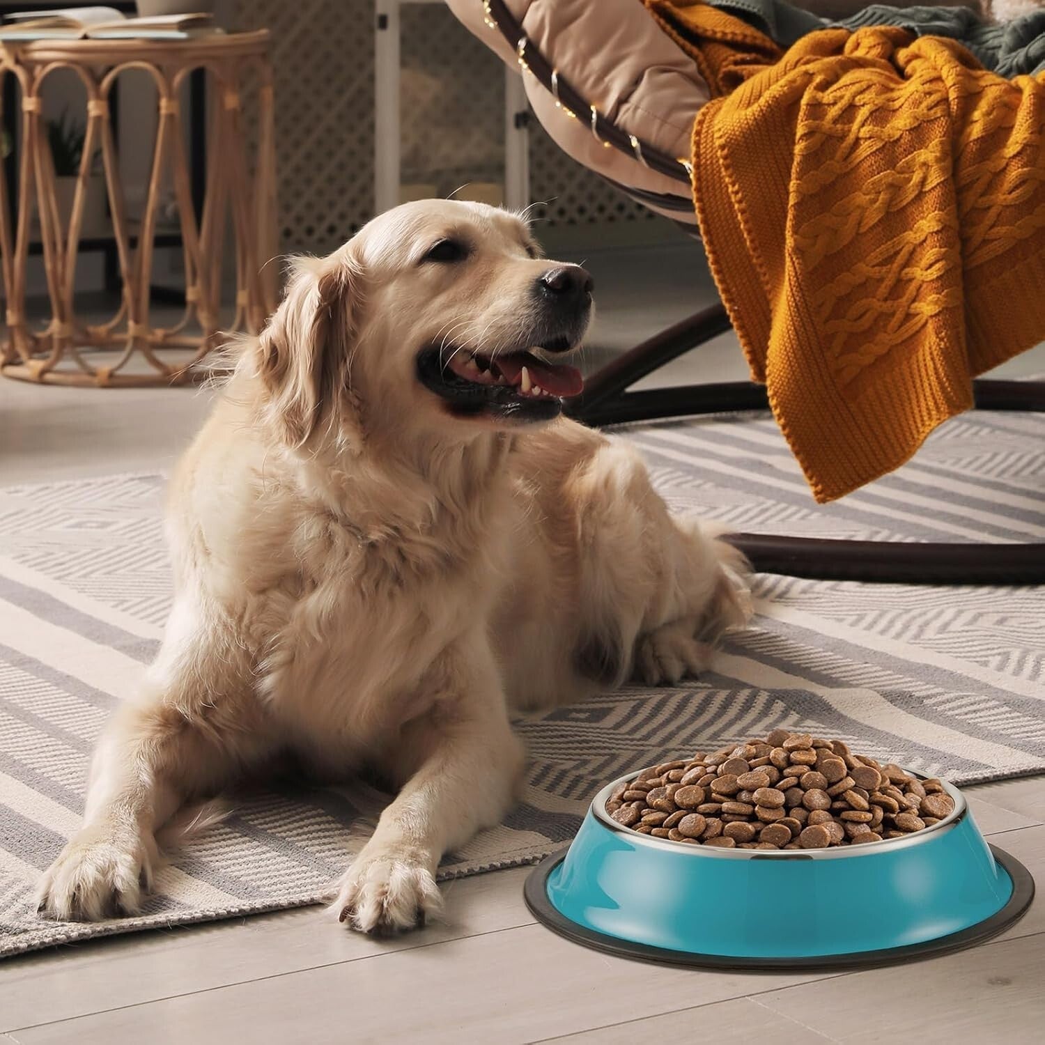 Durable 54oz Stainless Steel Dog Bowls with Non-Slip Silicone Base - 6 Colors