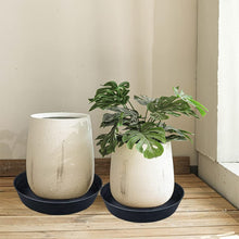 Load image into Gallery viewer, Pack of 4 Large 16 Inch Waterproof Plant Trays - 2.3 Inch Deep for All Pots
