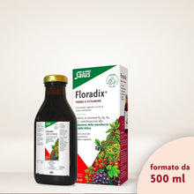 Load image into Gallery viewer, Floradix Iron + Herbs – Convenient 500 ML for Energy Boost &amp; Healthy Metabolism