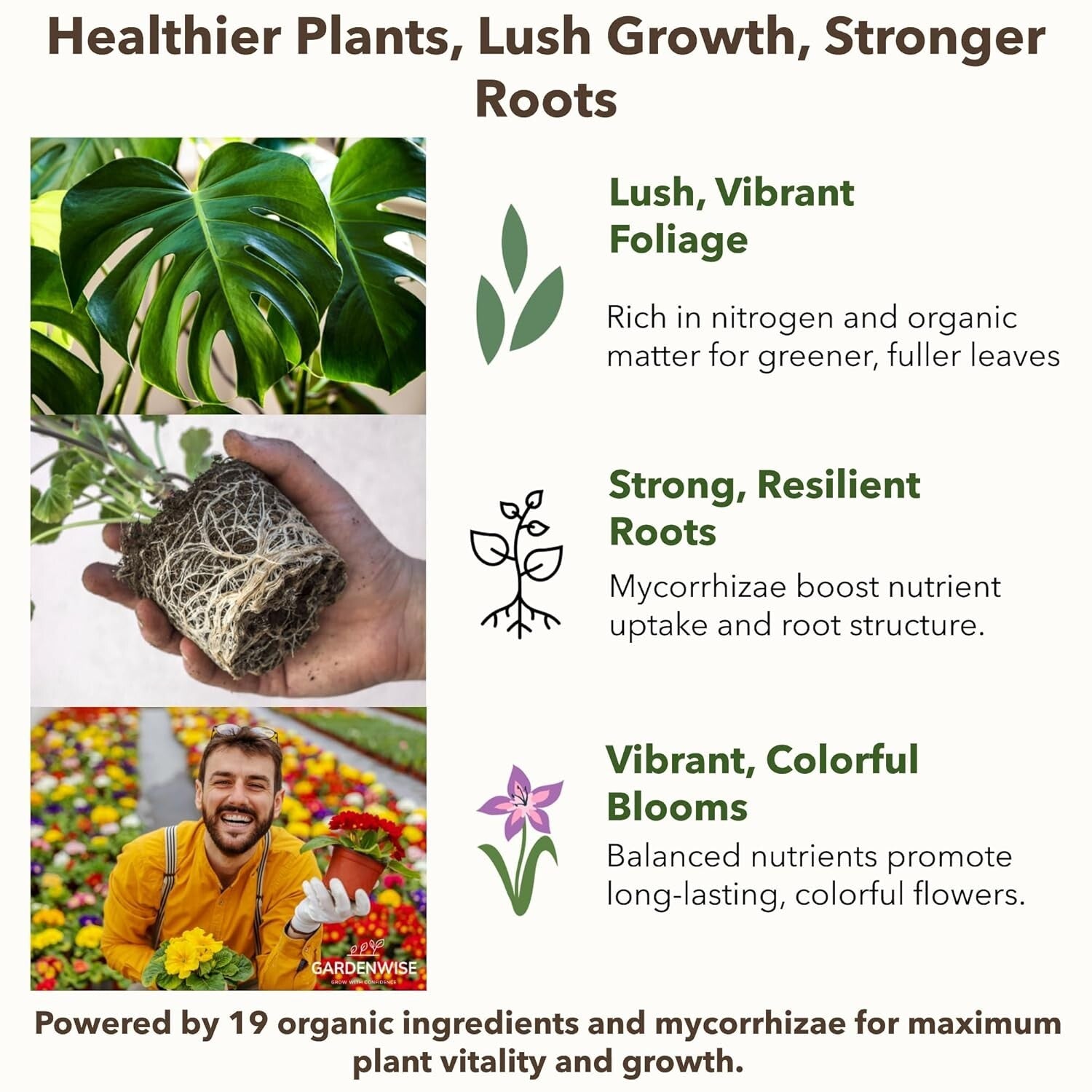 All-Purpose Organic Plant Fertilizer 32 oz – Boost Indoor & Outdoor Growth