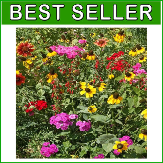 5 lbs Heirloom Wildflower Seed Mix for Erosion-Control & Vibrant Landscapes
